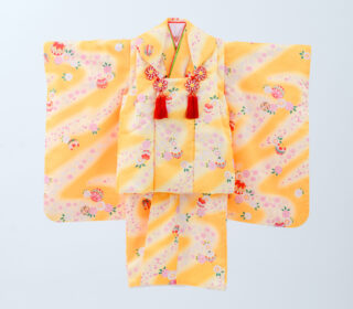 3歳着物C-3(初夢)