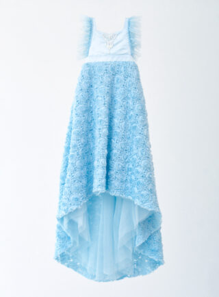 7歳ドレス8(ブルーローズ)