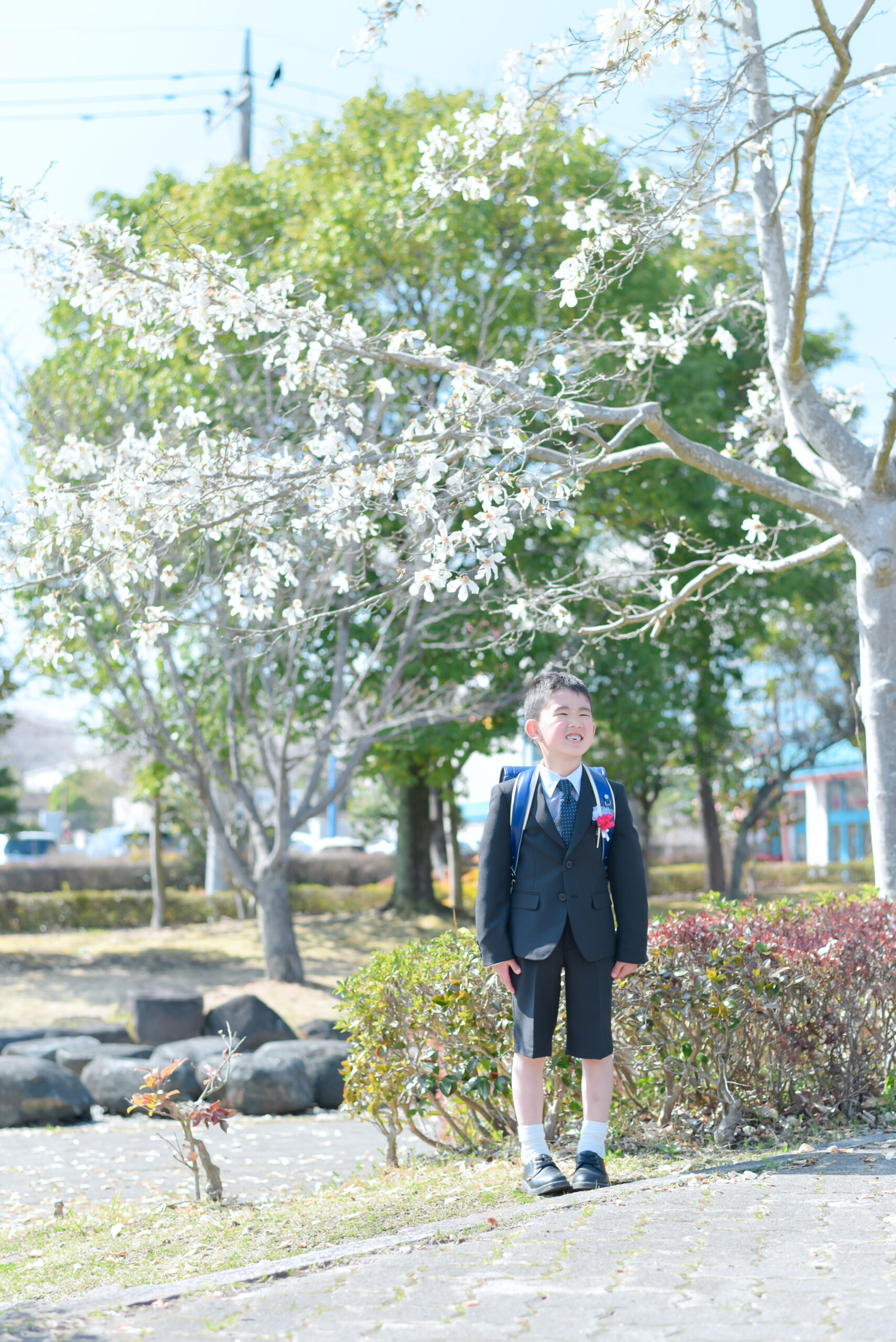 6歳男の子　小学校入学写真　ランドセルと写真　幼稚園卒業写真　おめでとう！