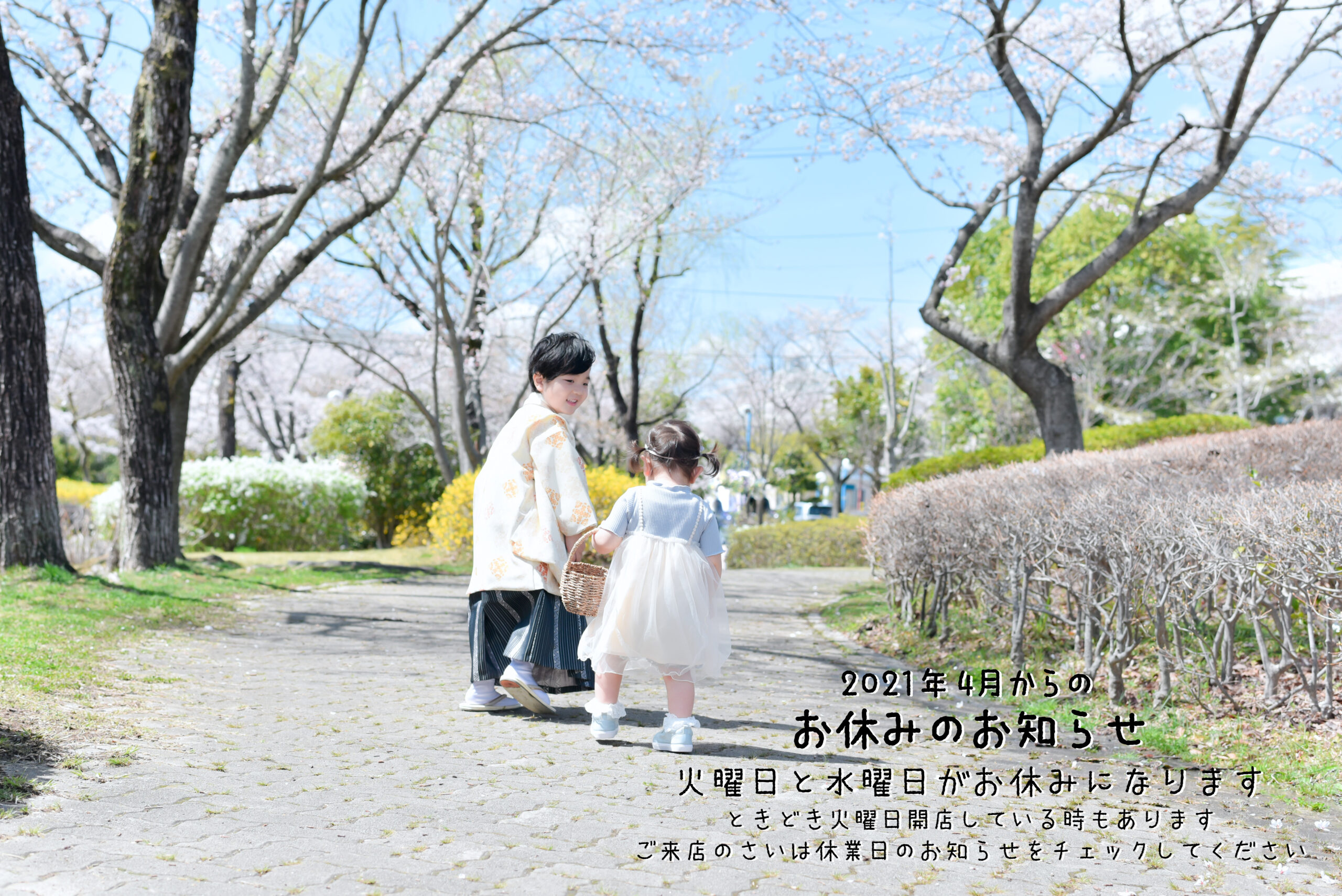 5歳男の子　七五三撮影　宇都宮フォトスタジオ　桜と写真　ロケーション撮影　フォトジェニックサクラスタジオ