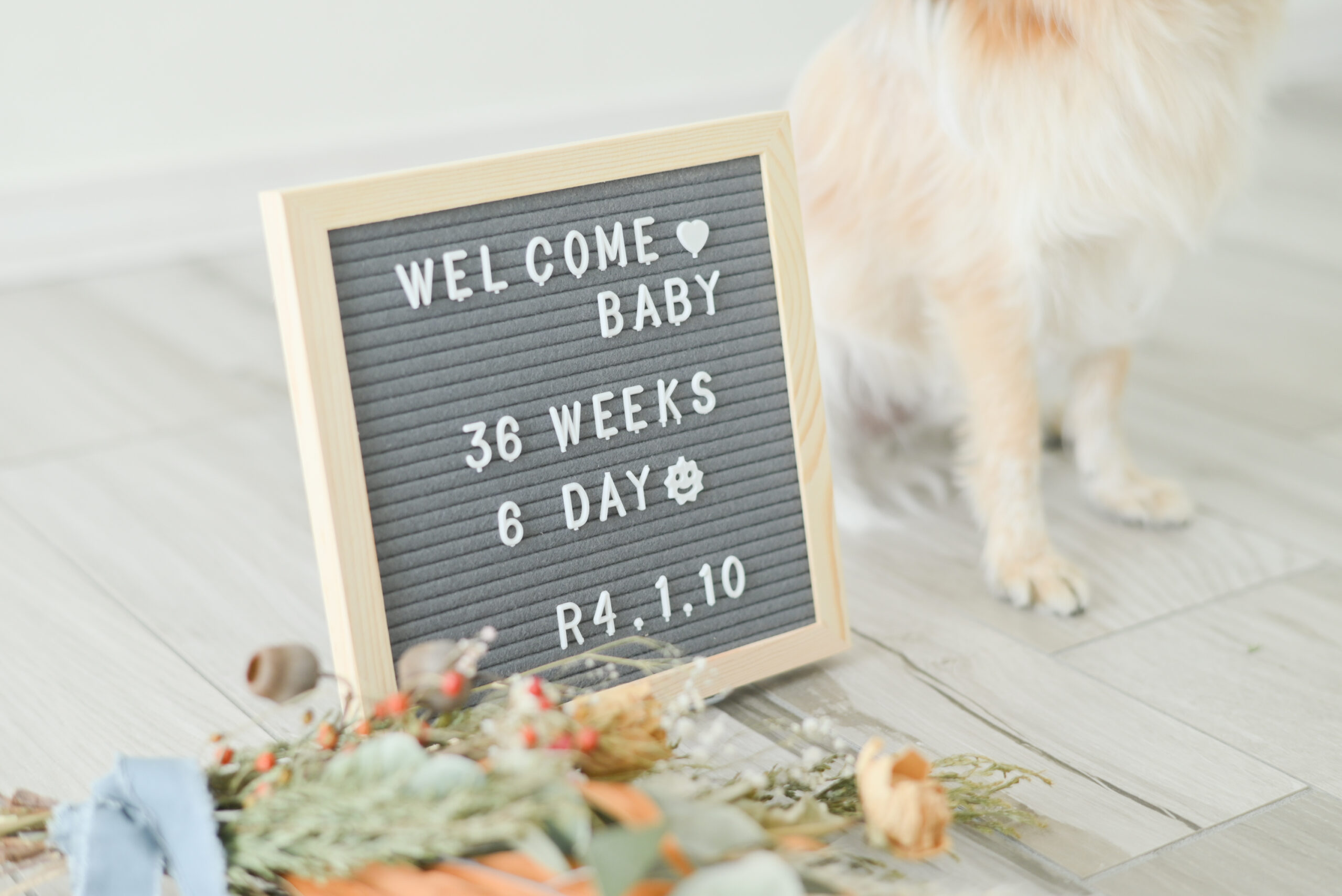welcome baby の文字 　マタニティフォト　Maternity photo　9ヶ月　 9 Months　宇都宮市の写真スタジオ　フォトジェニックサクラスタジオ