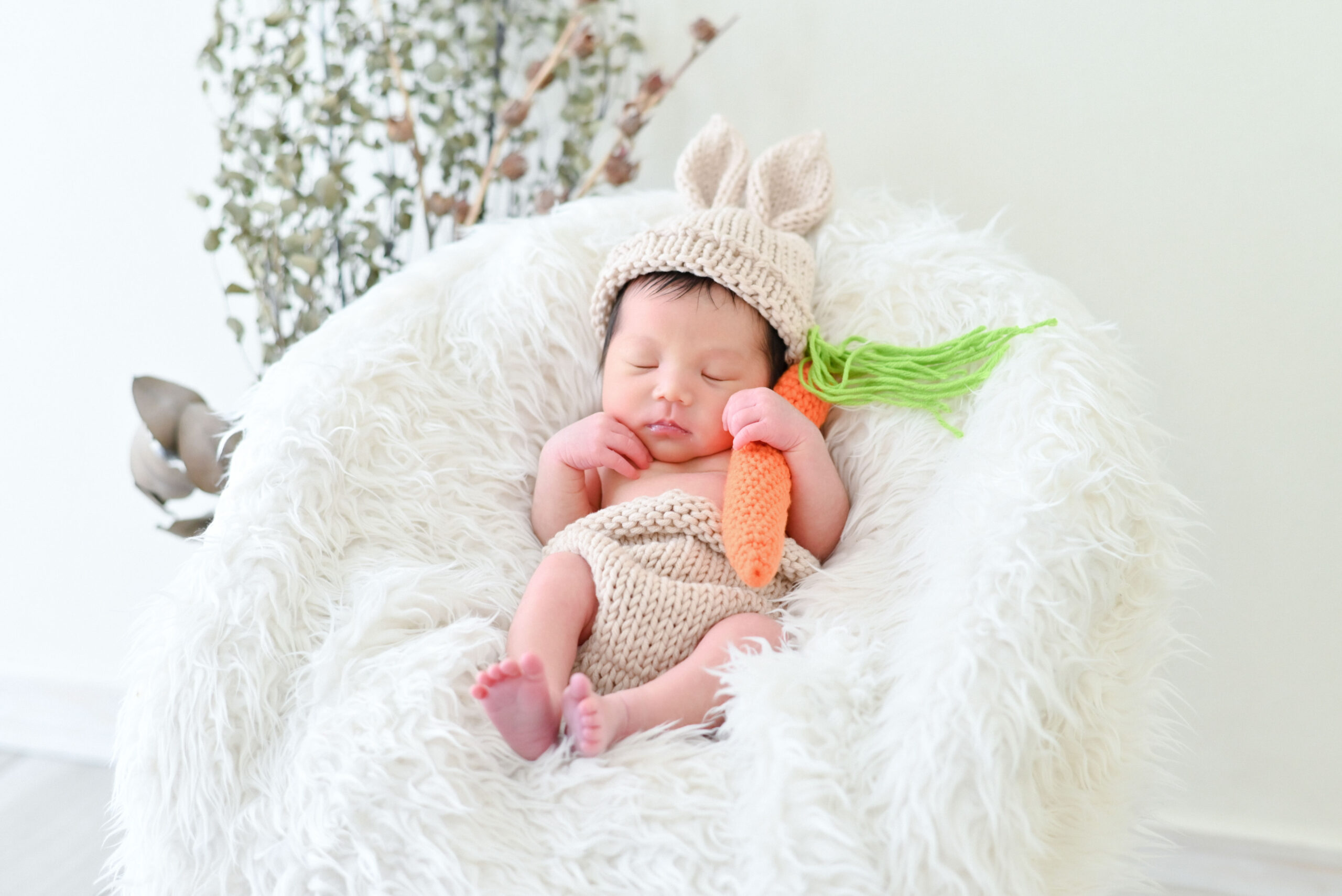 生後７日の赤ちゃんウサギさん衣装が似合ってて可愛すぎる