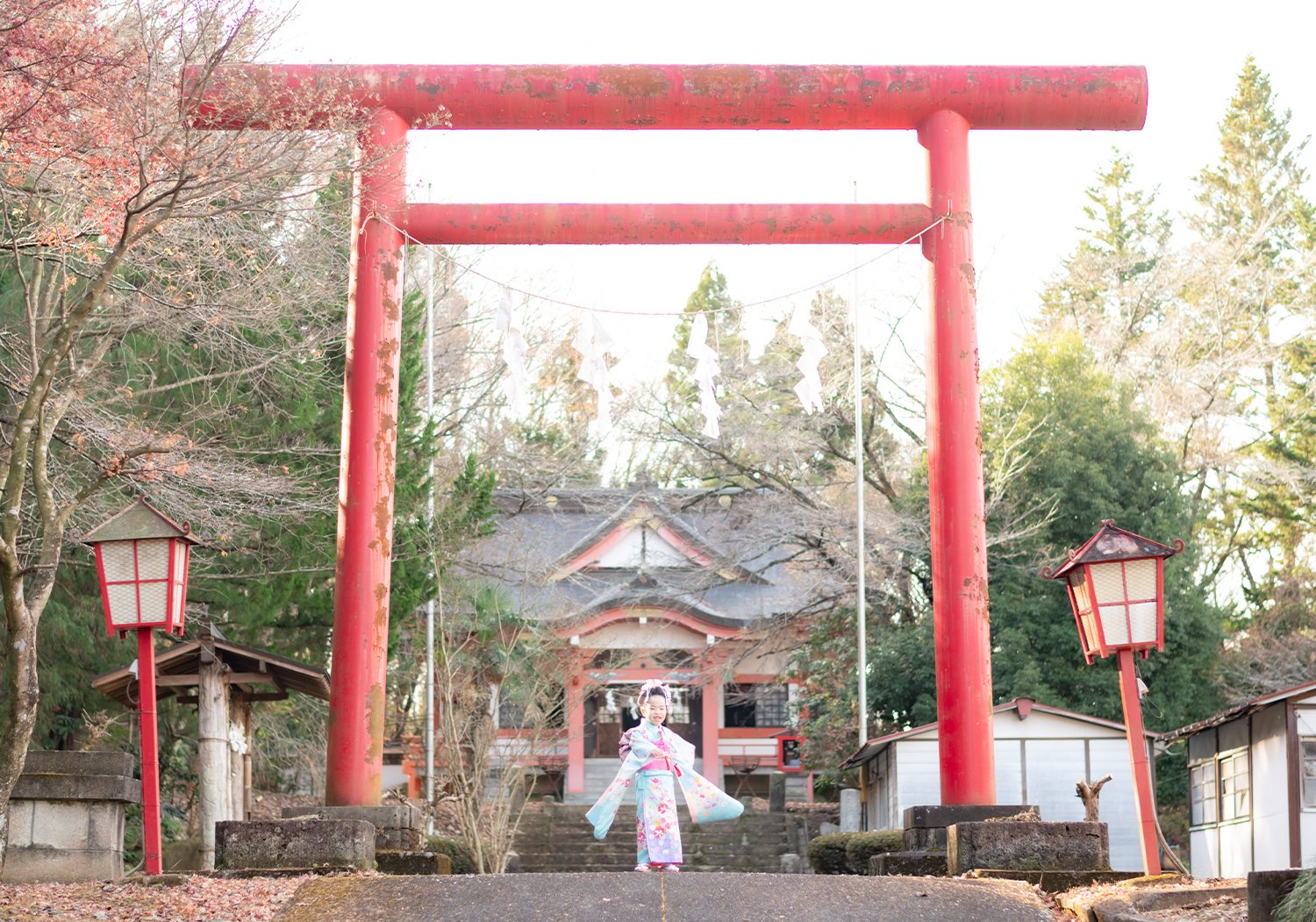 神社ロケーション
七五三7歳女の子
大きな朱い鳥居の下で水色にピンクの花模様の着物姿
日本髪も似合っている